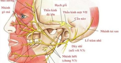 LIỆT DÂY THẦN KINH VII NGOẠI BIÊN (LIỆT MẶT) – BỆNH THƯỜNG GẶP TẠI KHOA Y HỌC CỔ TRUYỀN LIỆT DÂY THẦN KINH VII NGOẠI BIÊN (LIỆT MẶT) – BỆNH THƯỜNG GẶP TẠI KHOA Y HỌC CỔ TRUYỀN