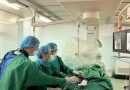 CỨU SỐNG NGOẠN MỤC CỤ BÀ 85 TUỔI: NHỜ KỸ THUẬT TIÊN TIẾN, CHẶN ĐỨNG NGUY HIỂM DO HẸP ĐỘNG MẠCH CẢNH CỨU SỐNG NGOẠN MỤC CỤ BÀ 85 TUỔI: NHỜ KỸ THUẬT TIÊN TIẾN, CHẶN ĐỨNG NGUY HIỂM DO HẸP ĐỘNG MẠCH CẢNH